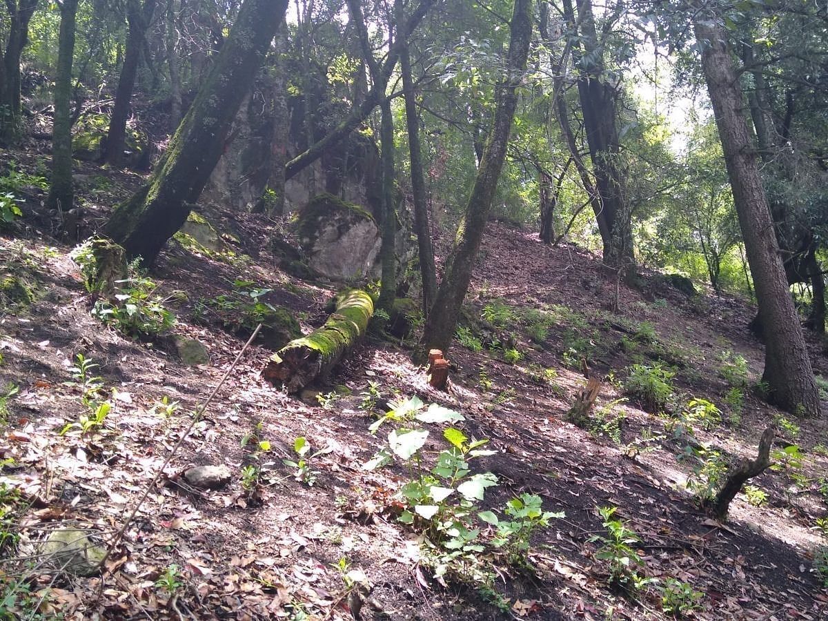 Terreno en Santa Rosa Xochiac, Álvaro Obregón, foto 5 de 7