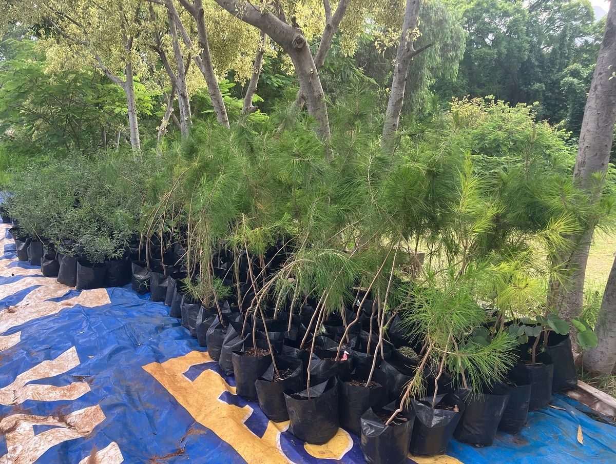 Terreno en Fraccionamiento Potreros del Sur, Silao De La Victoria, foto 2 de 3