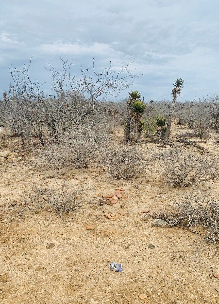 TERRENO À VENDA EM LA PAZ BCS, EM AGUA BLANCA TODOS SANTOS, foto 1 de 14