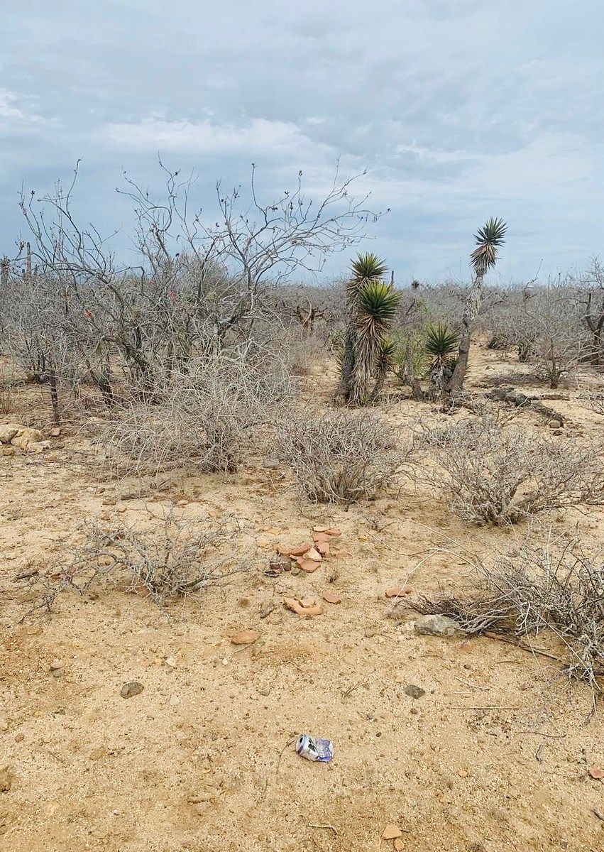 Lote em Agua Blanca, La Paz, foto 6 de 14