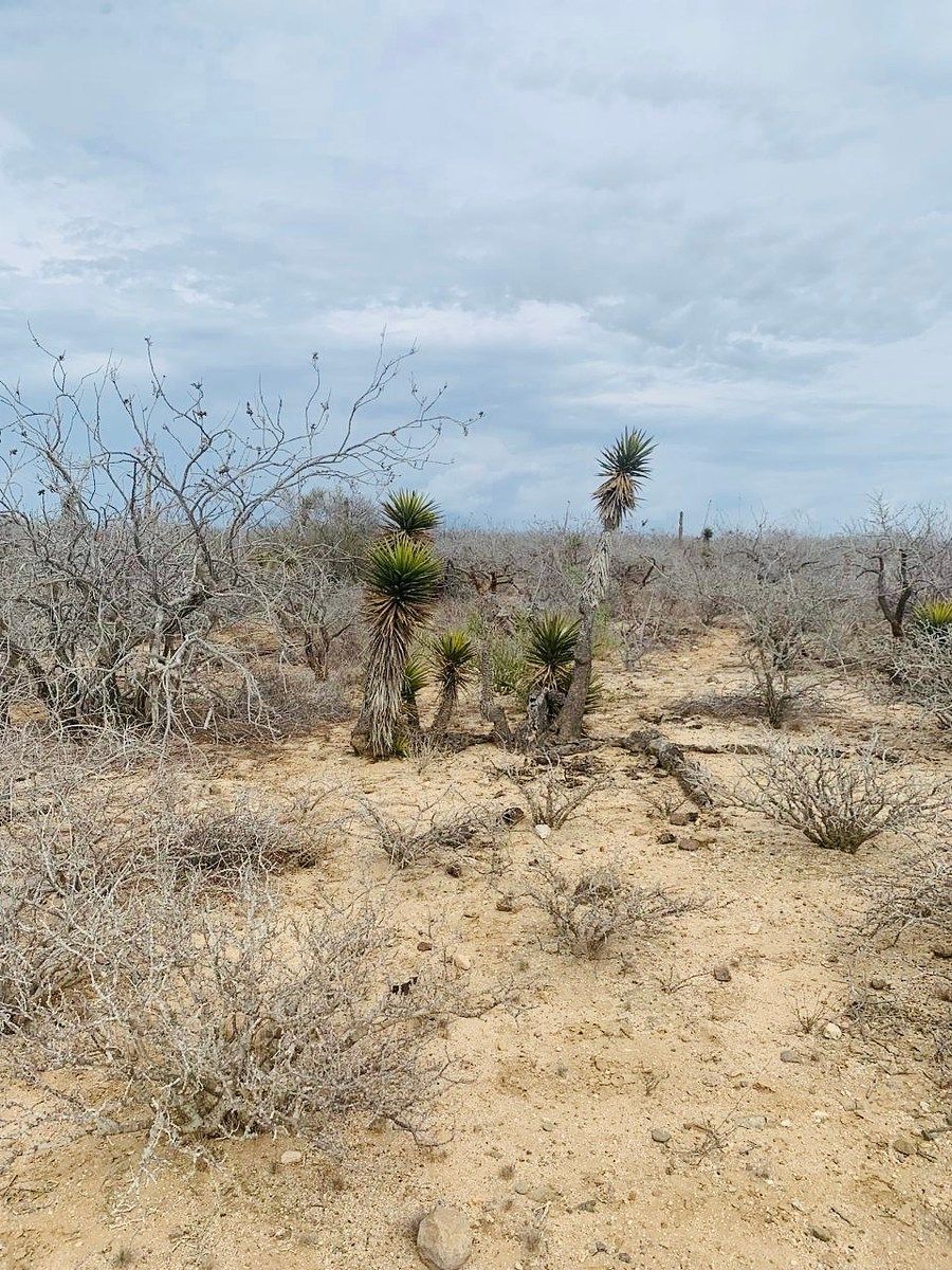 Lote em Agua Blanca, La Paz, foto 8 de 14