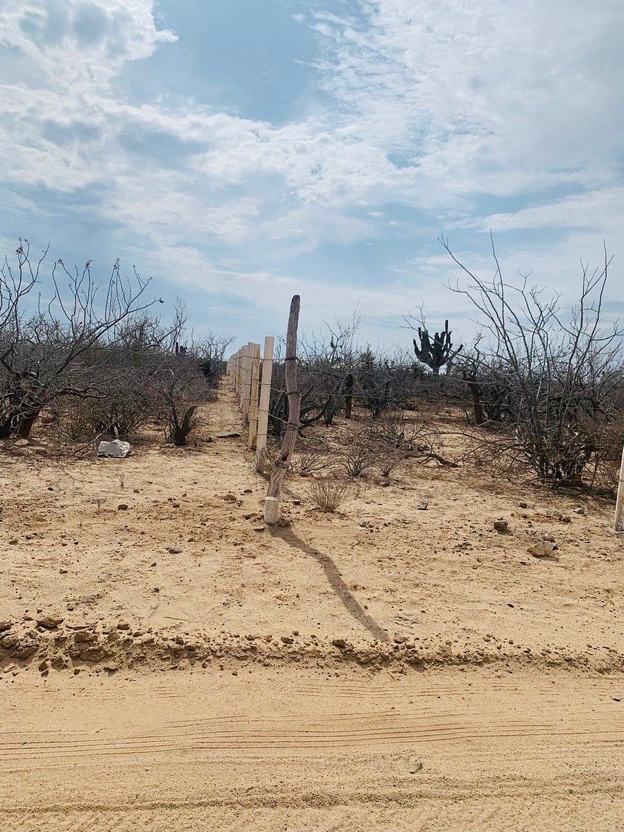 Lote em Agua Blanca, La Paz, foto 5 de 14