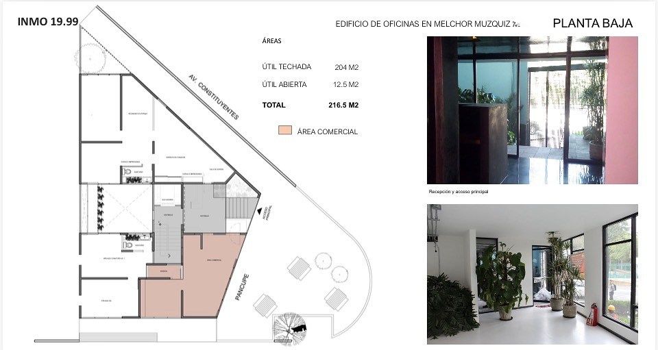 Building in Chapultepec Morales, Miguel Hidalgo, photo 3 of 9