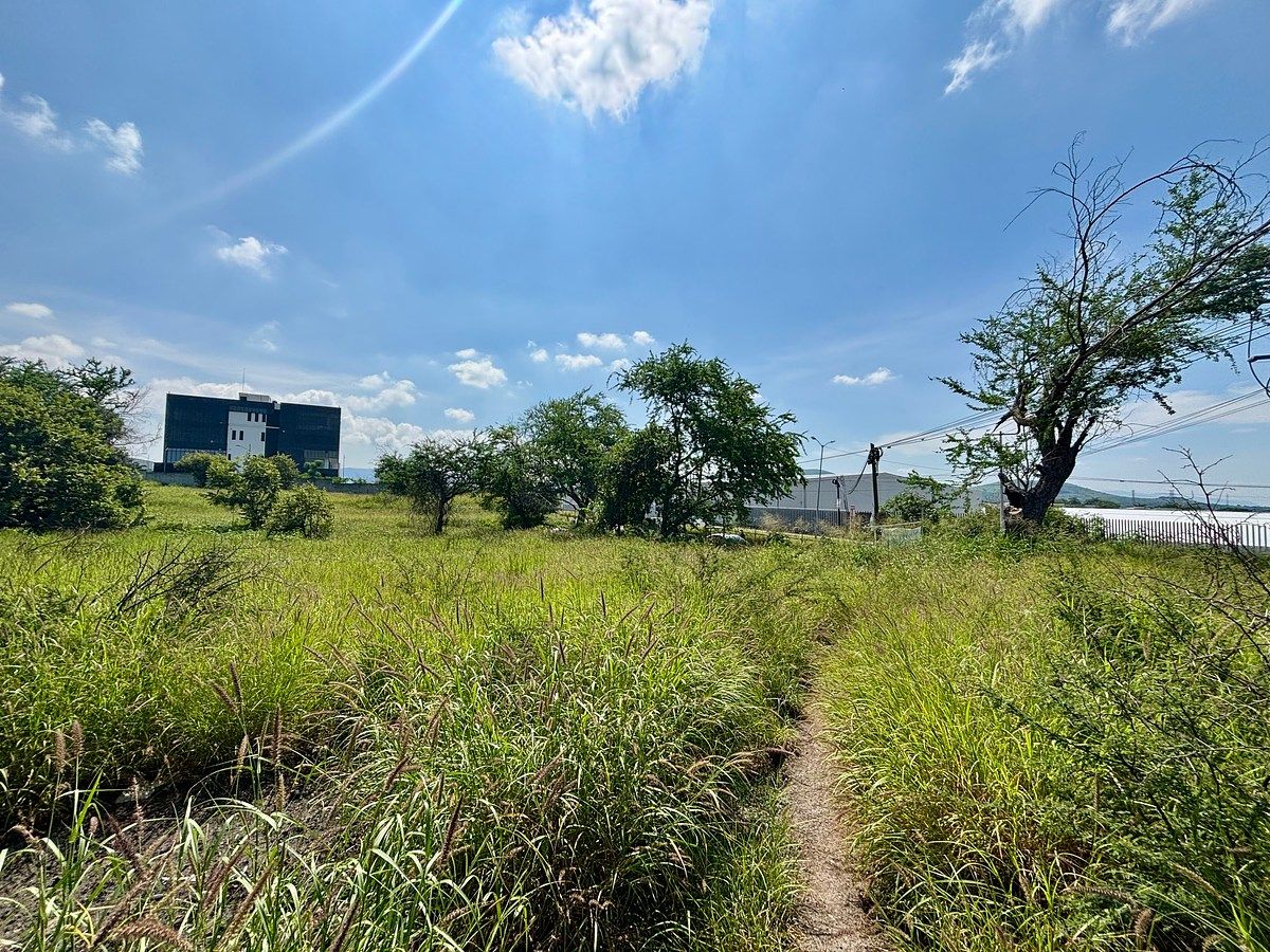 Terreno comercial en Alpuyeca, Xochitepec, foto 5 de 5