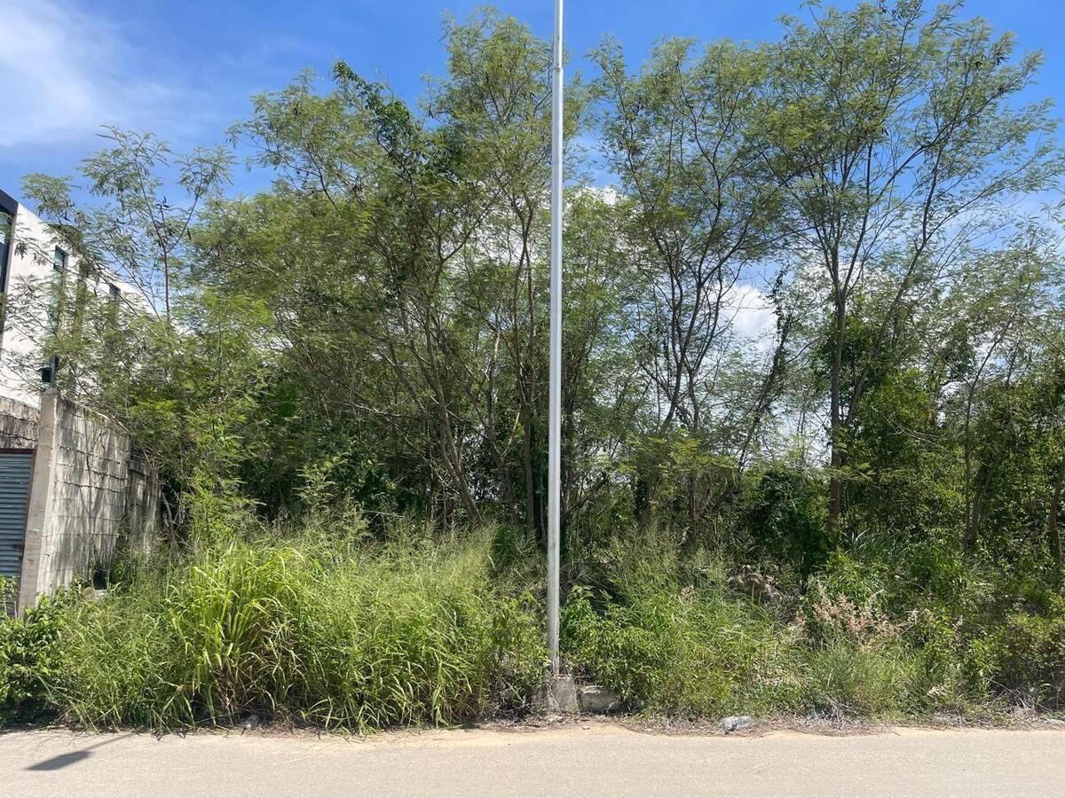 Lote em Temozón Norte, Mérida, foto 3 de 5