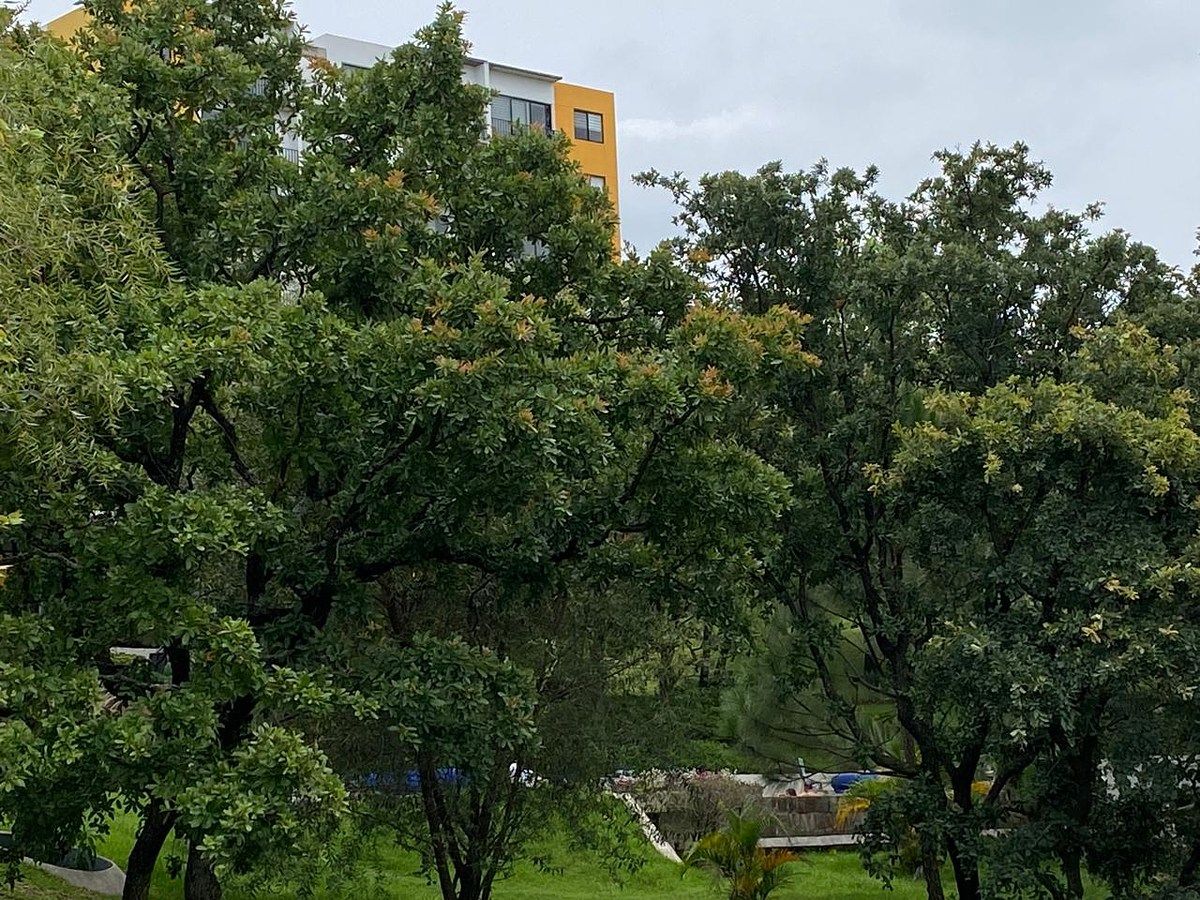 Departamento en Sendas Residencial, Zapopan, foto 22 de 33