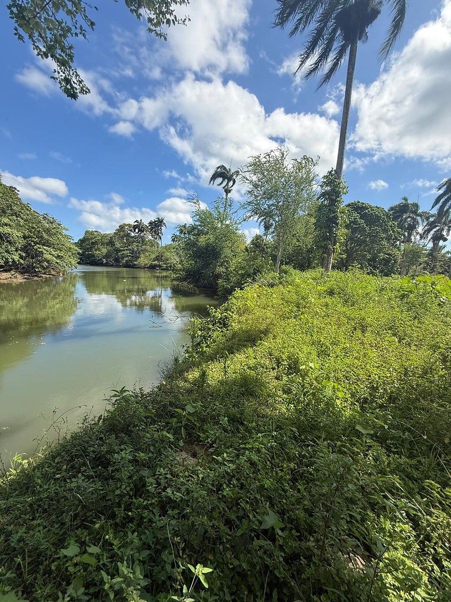Terreno de 18,960mts deslindado con río, foto 1 de 6
