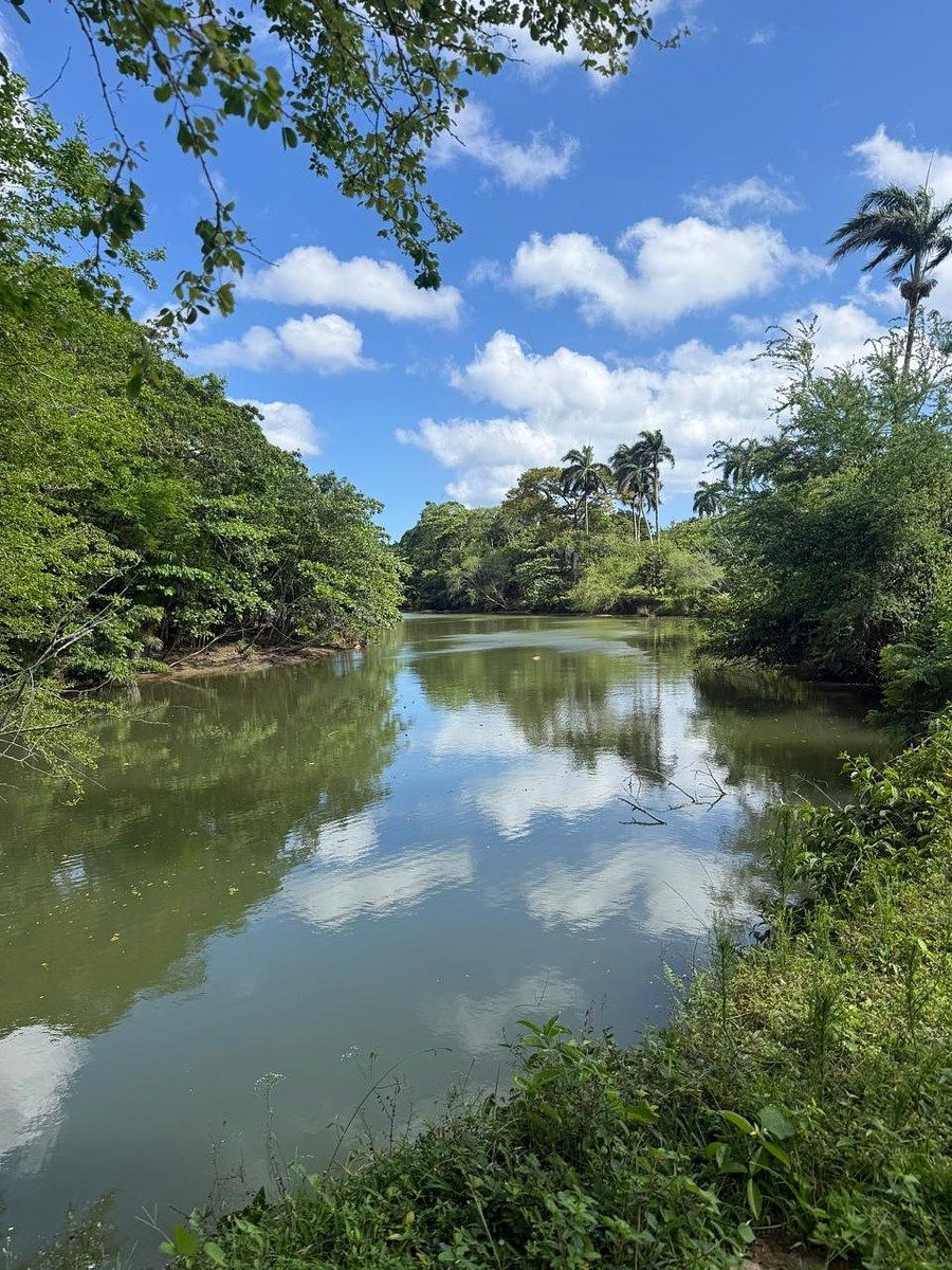 Finca en Río San Juan, foto 2 de 6