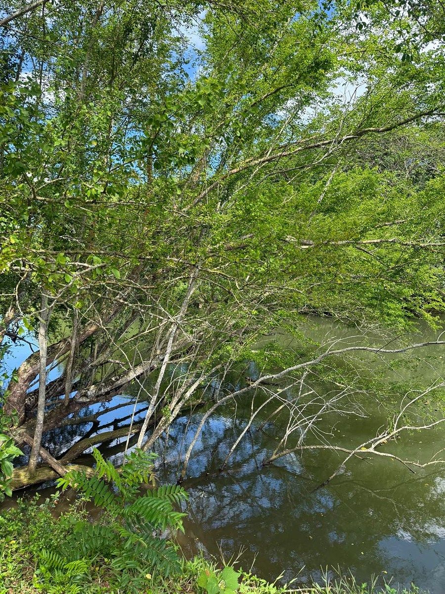Finca en Río San Juan, foto 3 de 6