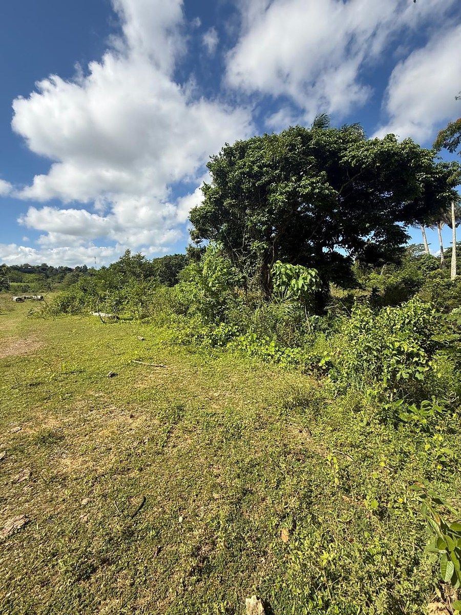 Finca en Río San Juan, foto 4 de 6