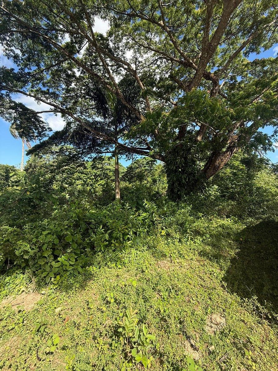 Finca en Río San Juan, foto 5 de 6