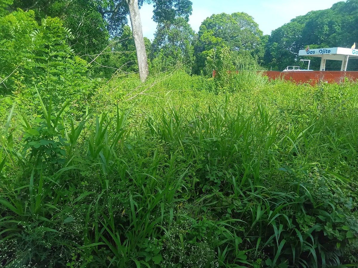 Lote em Temapache, Álamo Temapache, foto 4 de 5