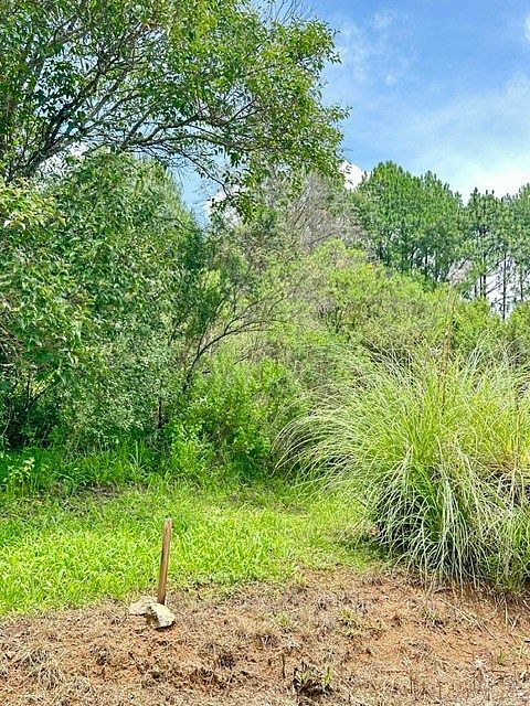Terreno en Tapalpa, Tapalpa, foto 8 de 11