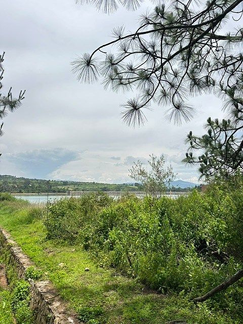 Terreno en Tapalpa, Tapalpa, foto 10 de 11