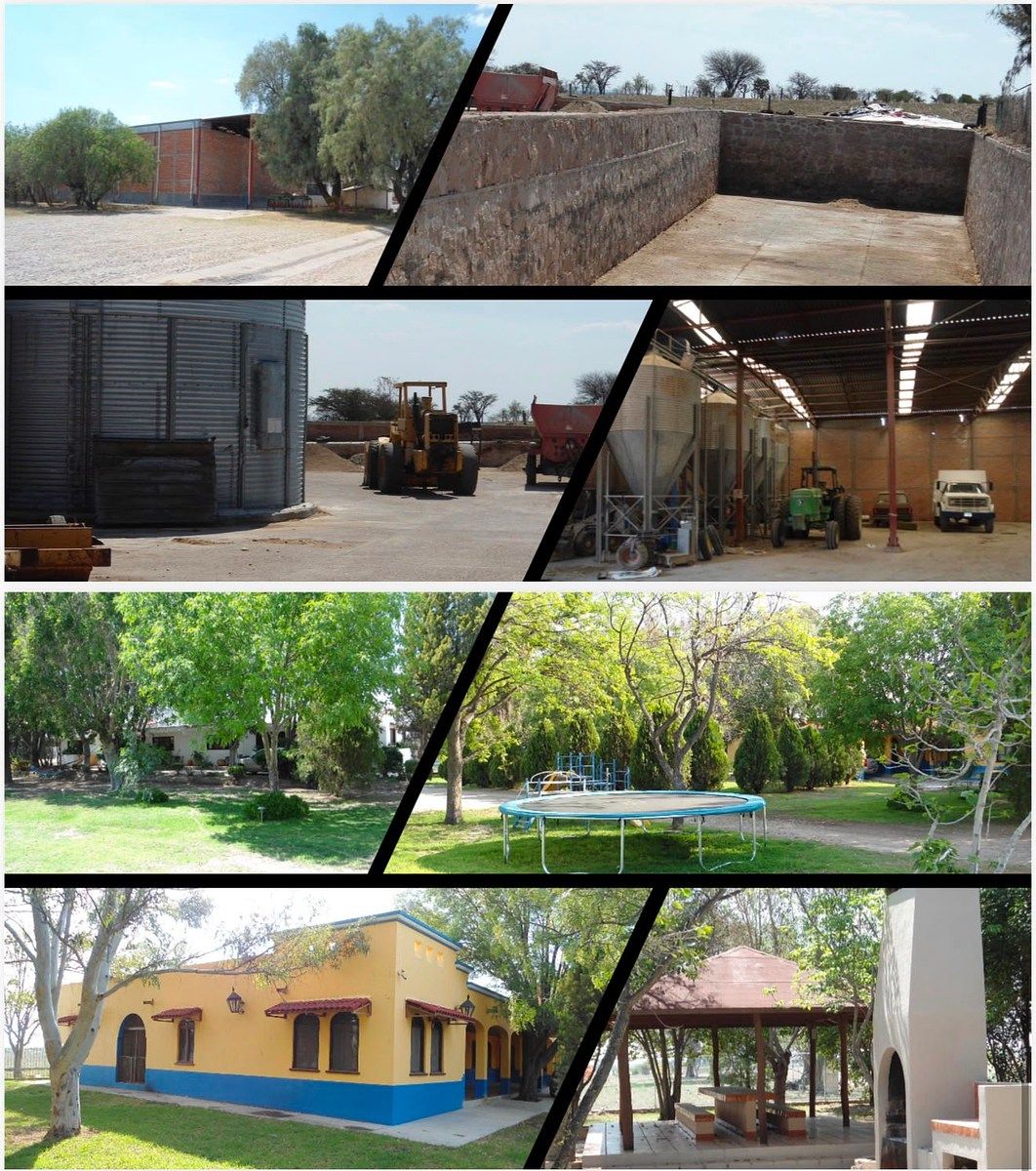 Ranch in Teocaltiche Centro, Teocaltiche, photo 7 of 10