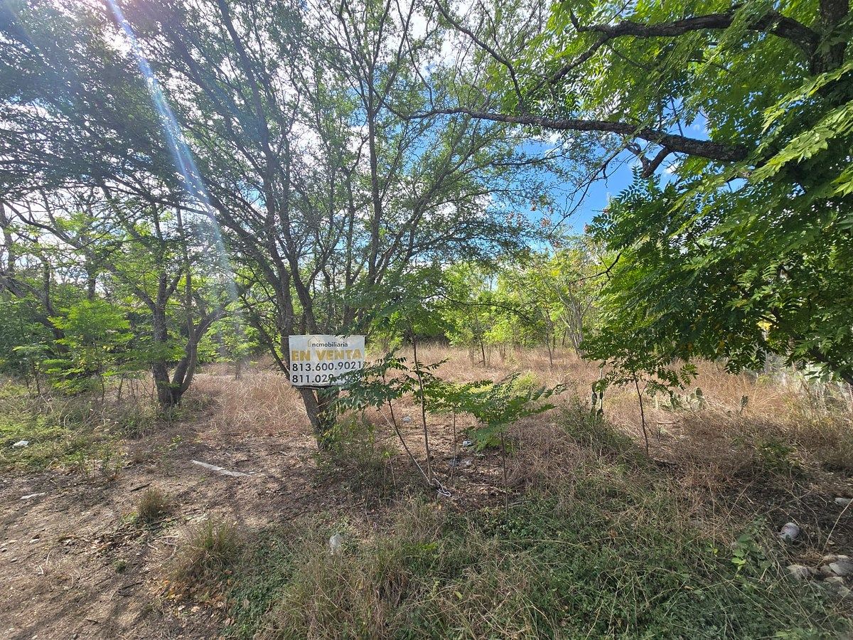 Terreno en Palmitos (Hacienda Palmitos), Cadereyta Jiménez, foto 4 de 4