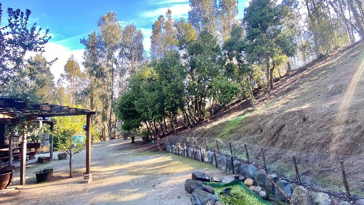 Sitios en Valle Alegre, Quintero, foto 10 de 34