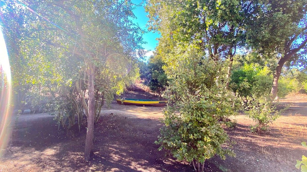 Sitios en Valle Alegre, Quintero, foto 27 de 34