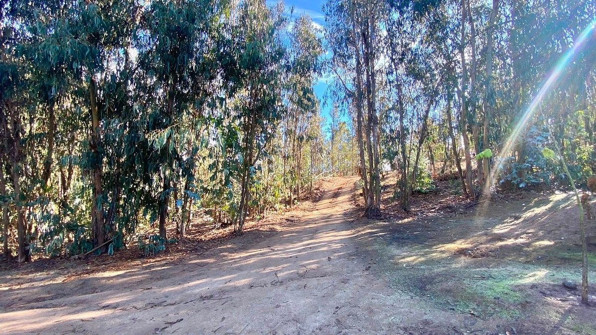 Sitios en Valle Alegre, Quintero, foto 32 de 34