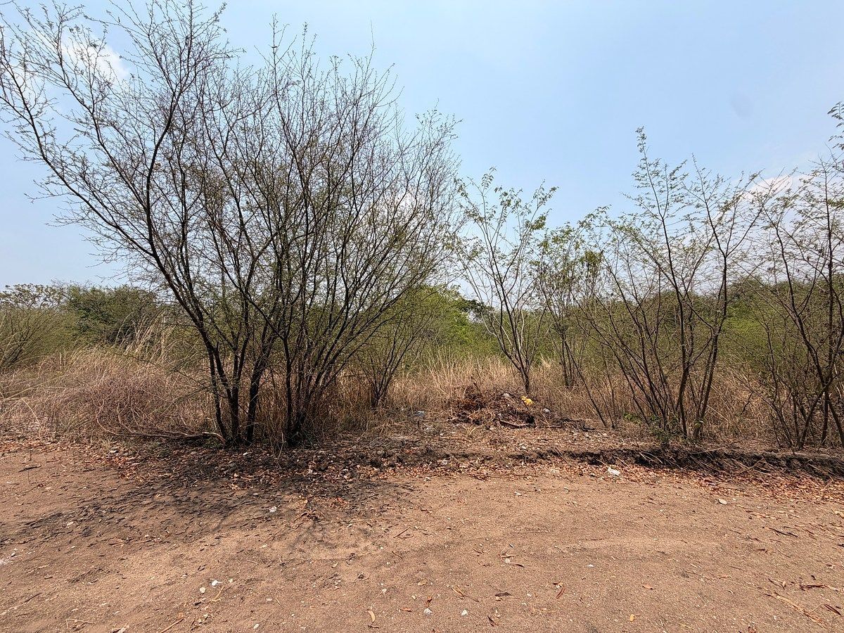 Terreno en Real del Bosque, Tuxtla Gutiérrez, foto 2 de 11