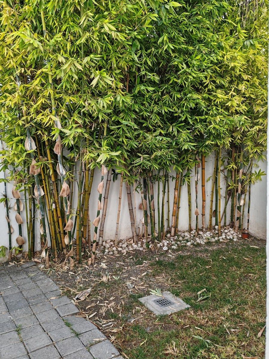 Casa em condomínio fechado em Juriquilla Santa Fe, Querétaro, foto 25 de 29