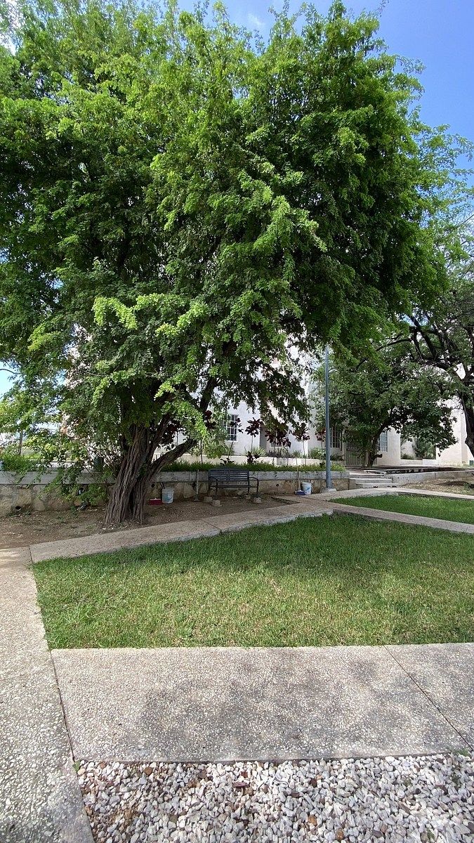 Departamento en Tierra Negra, Tuxtla Gutiérrez, foto 9 de 11