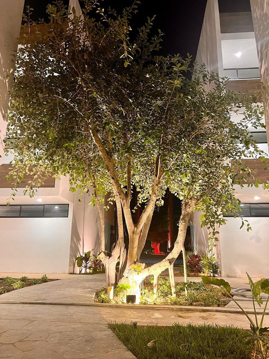 Departamento en Dzityá, Mérida, foto 17 de 17