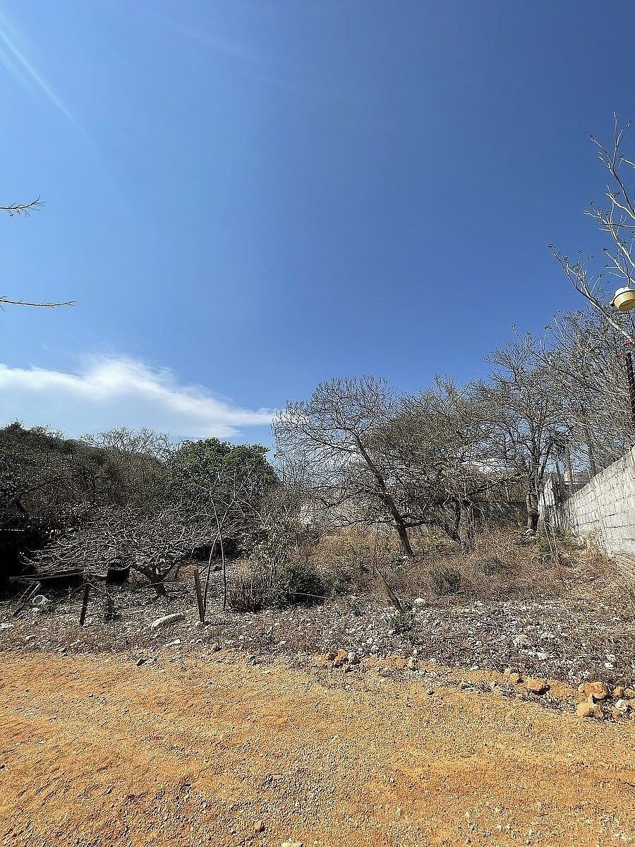 🏡 Terreno à venda em Los Sabinos – Tuxtla, foto 1 de 6