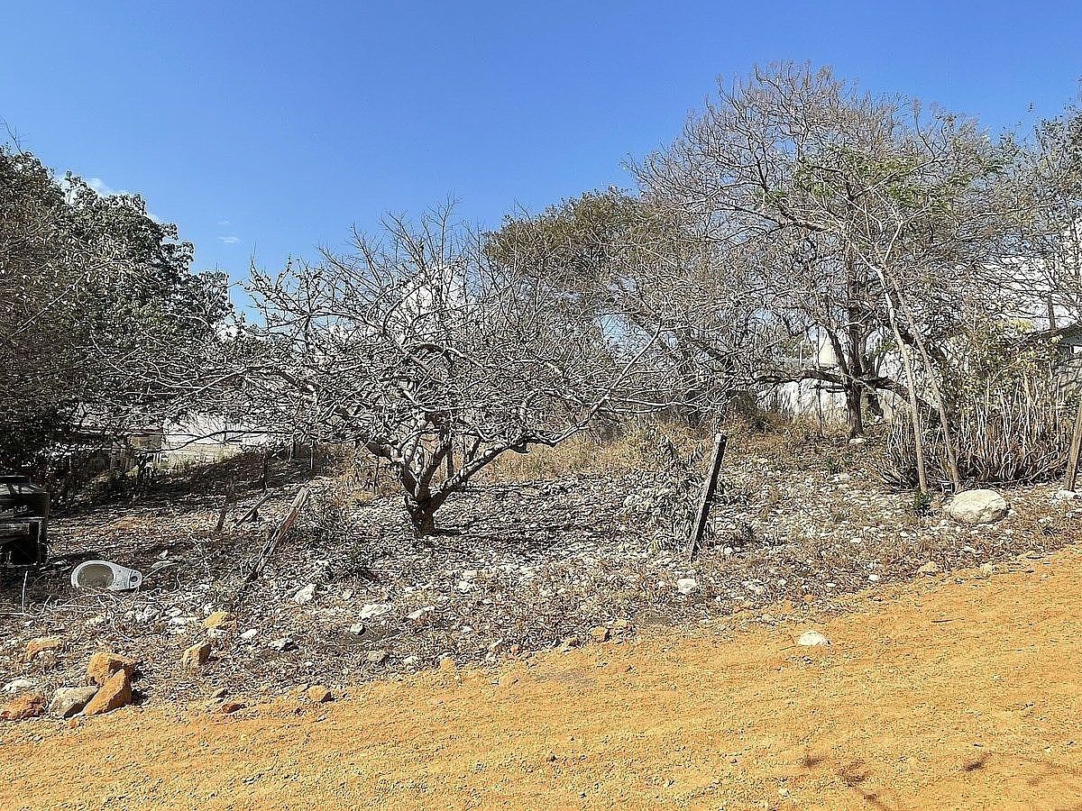 Lote em El Sabino, Berriozábal, foto 3 de 6