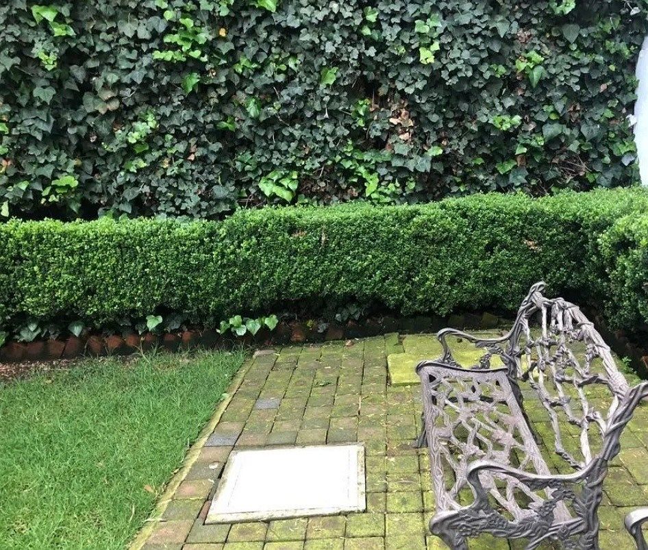 Apartamento em Lomas de Chapultepec IV Sección, Miguel Hidalgo, foto 17 de 20