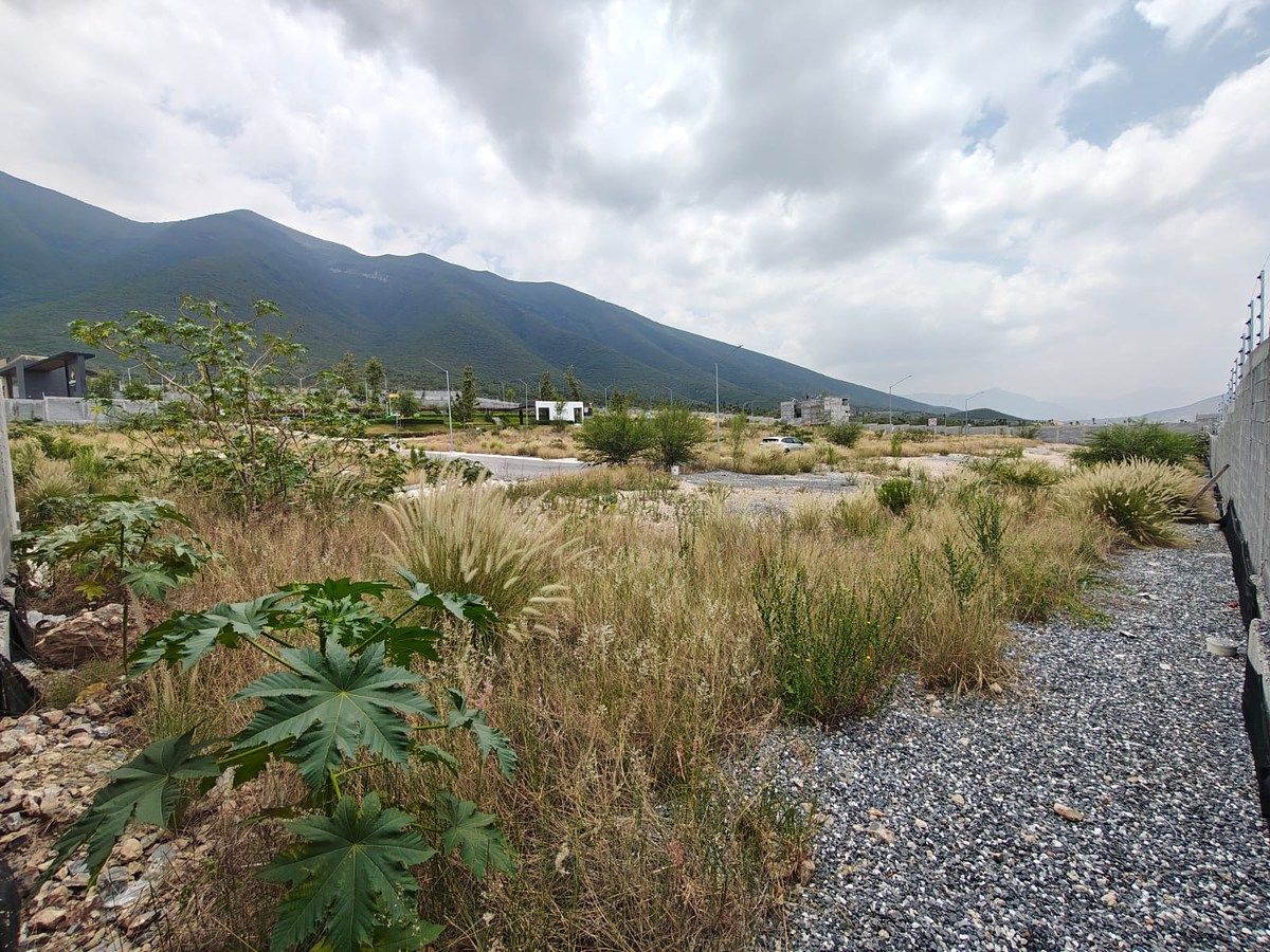 Lot in Cumbres Calzadas, García, photo 9 of 12