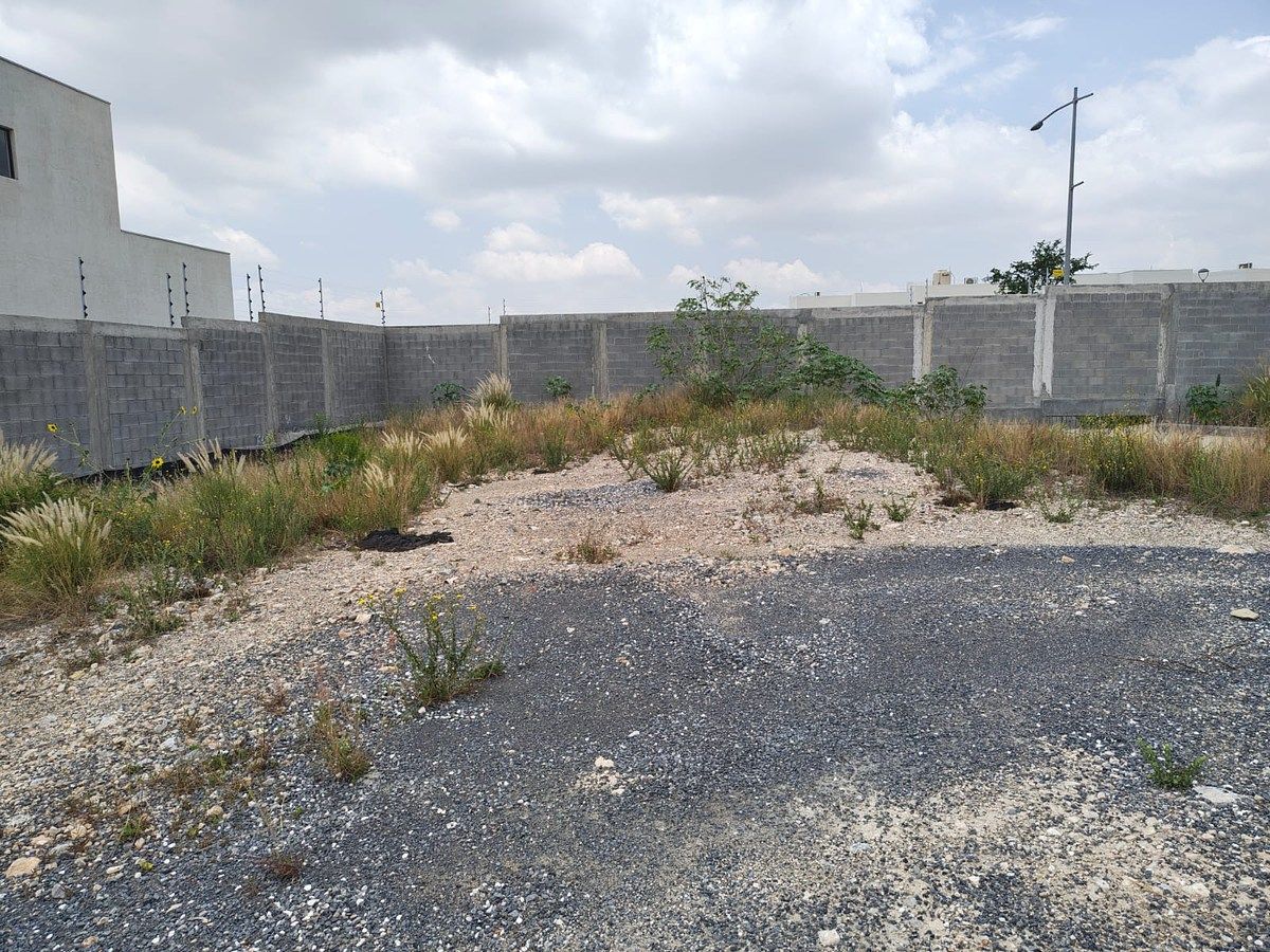 Lot in Cumbres Calzadas, García, photo 11 of 12