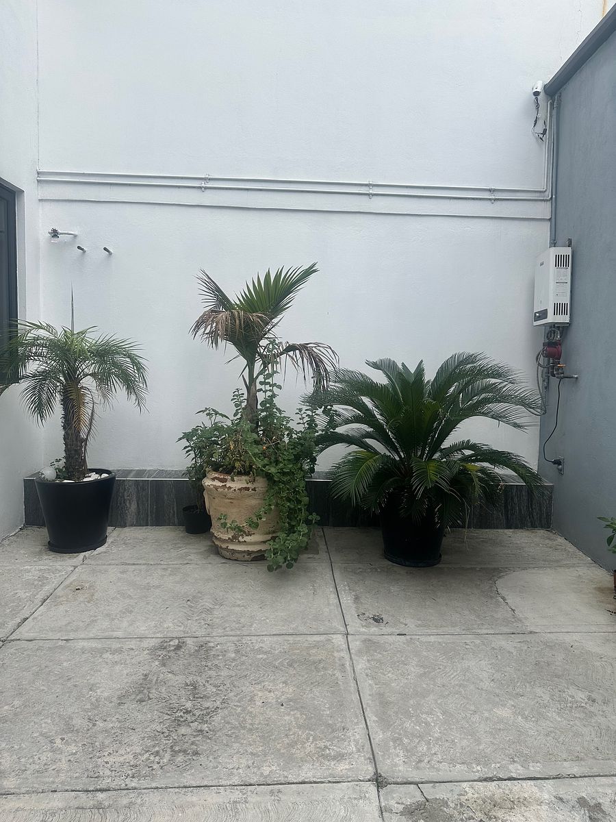 Apartment in Pensil Norte, Miguel Hidalgo, photo 9 of 11
