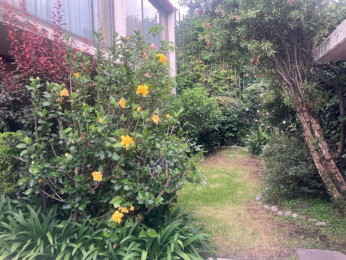 Casa em Lomas de Tecamachalco, Huixquilucan, foto 3 de 28