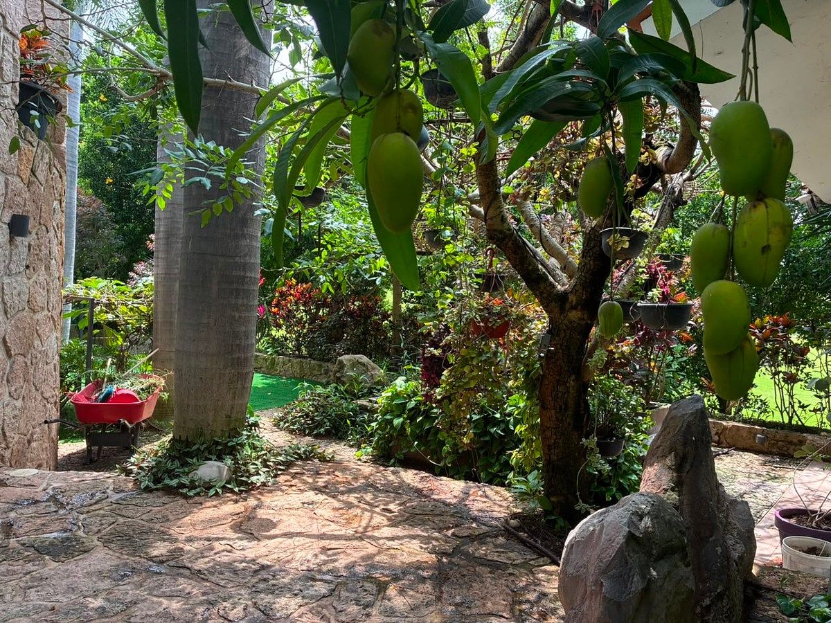 Casa em El Arenal, El Arenal, foto 39 de 50