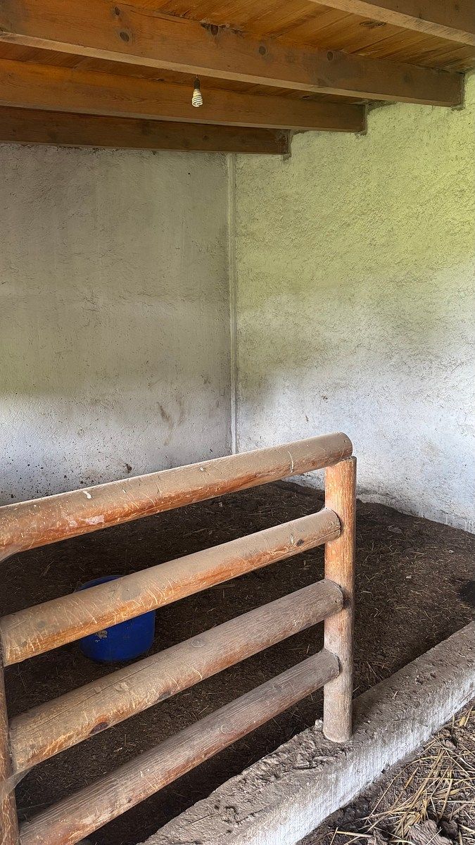 Lote em Santo Tomas Ajusco, Tlalpan, foto 7 de 11