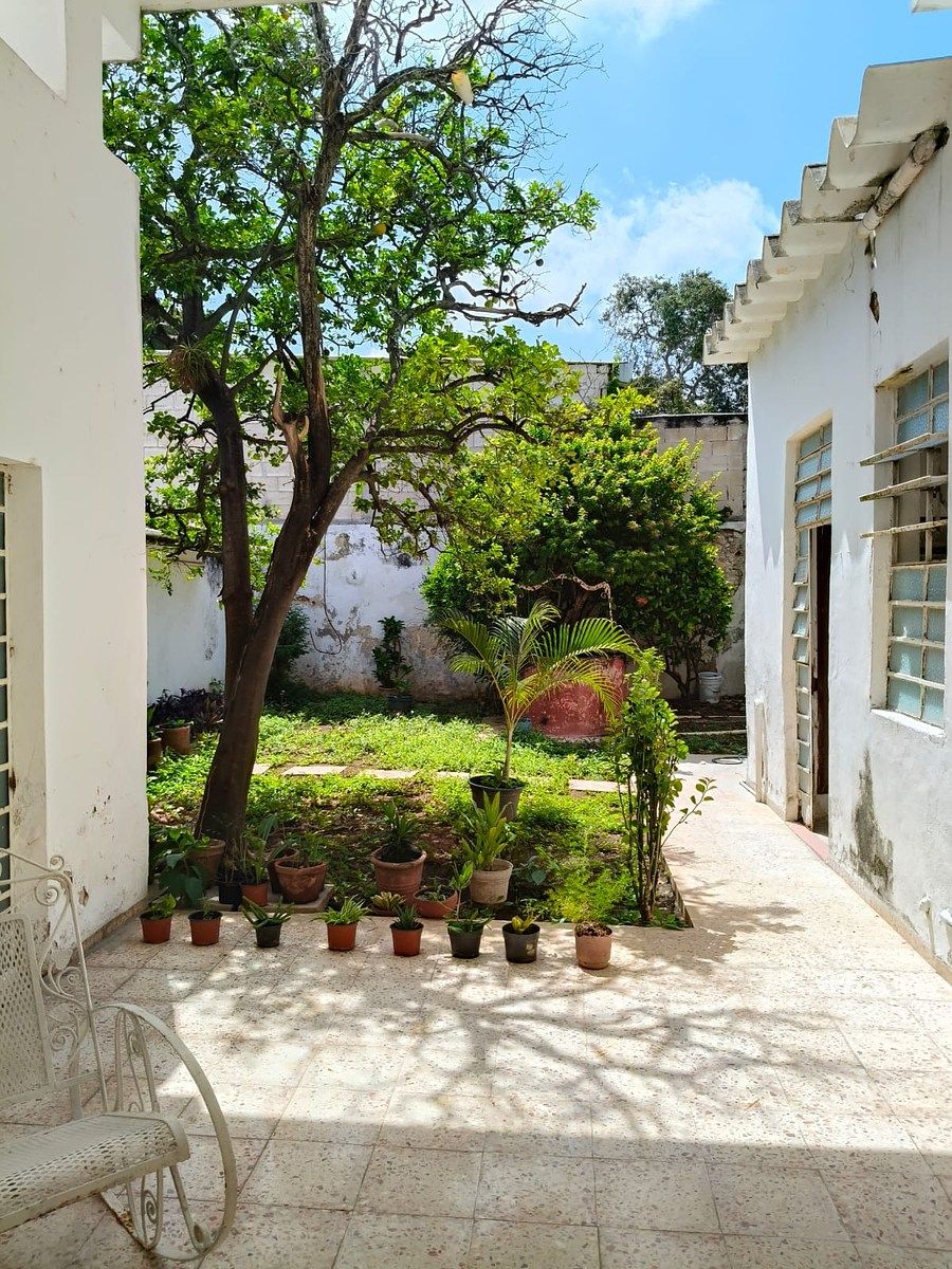 House in Mérida Centro, Mérida, photo 13 of 18