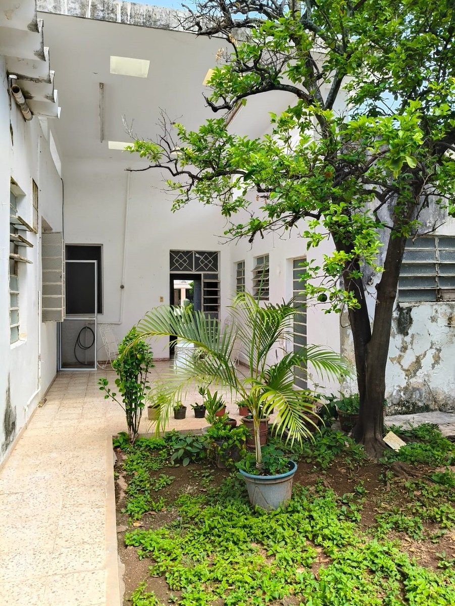 House in Mérida Centro, Mérida, photo 14 of 18