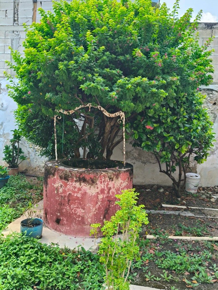 House in Mérida Centro, Mérida, photo 18 of 18