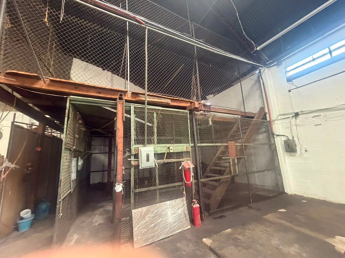 Bodega comercial en San Bartolo Naucalpan (Naucalpan Centro), Naucalpan de Juárez, foto 7 de 13
