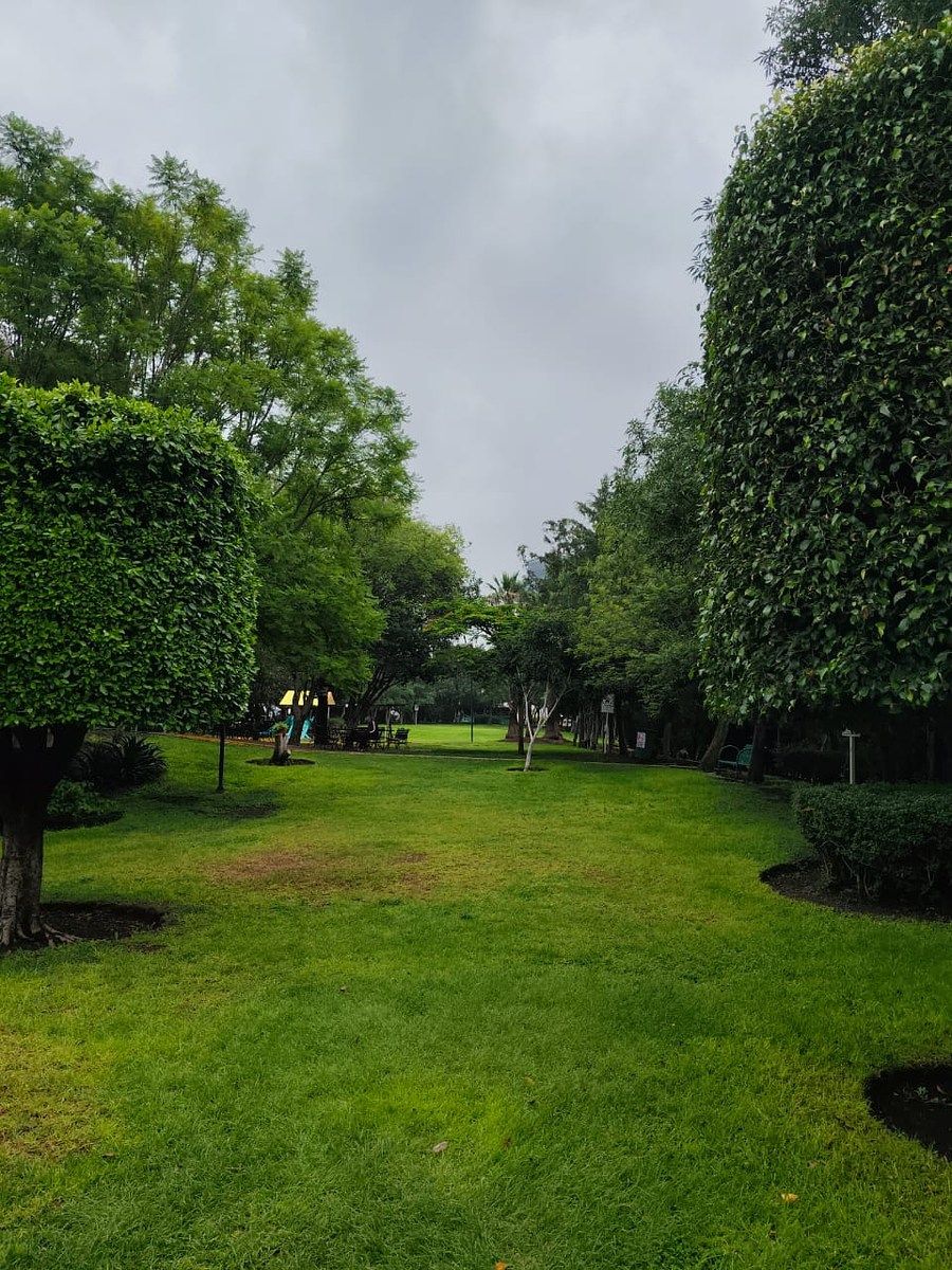 Jardín y área de juego en áreas comunes., foto 29 de 33