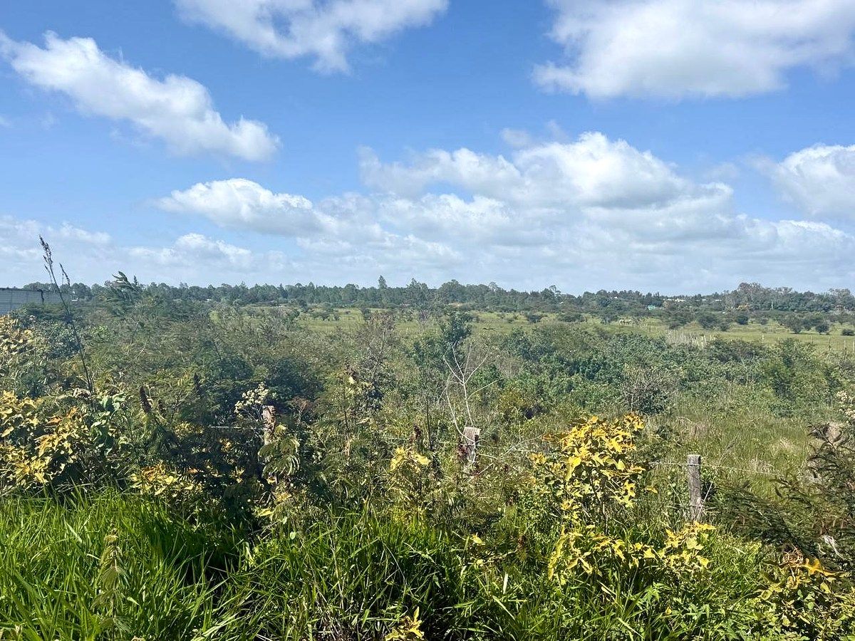 Lote comercial em Francisco Sarabia, Comitán de Domínguez, foto 4 de 10