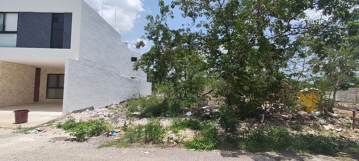 Land Dzitya with nearby connectivity to the peripheral road, photo 1 of 2