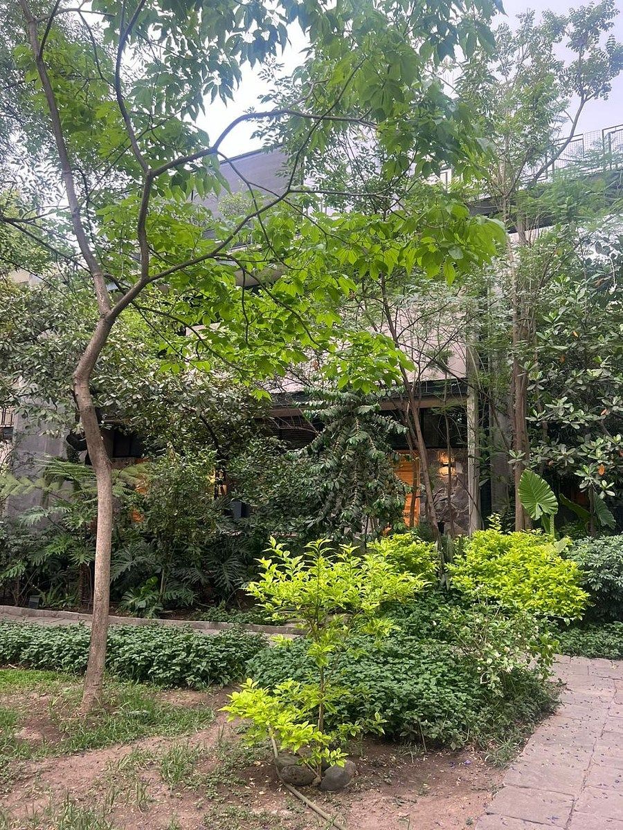 FACHADA CASA, foto 2 de 21