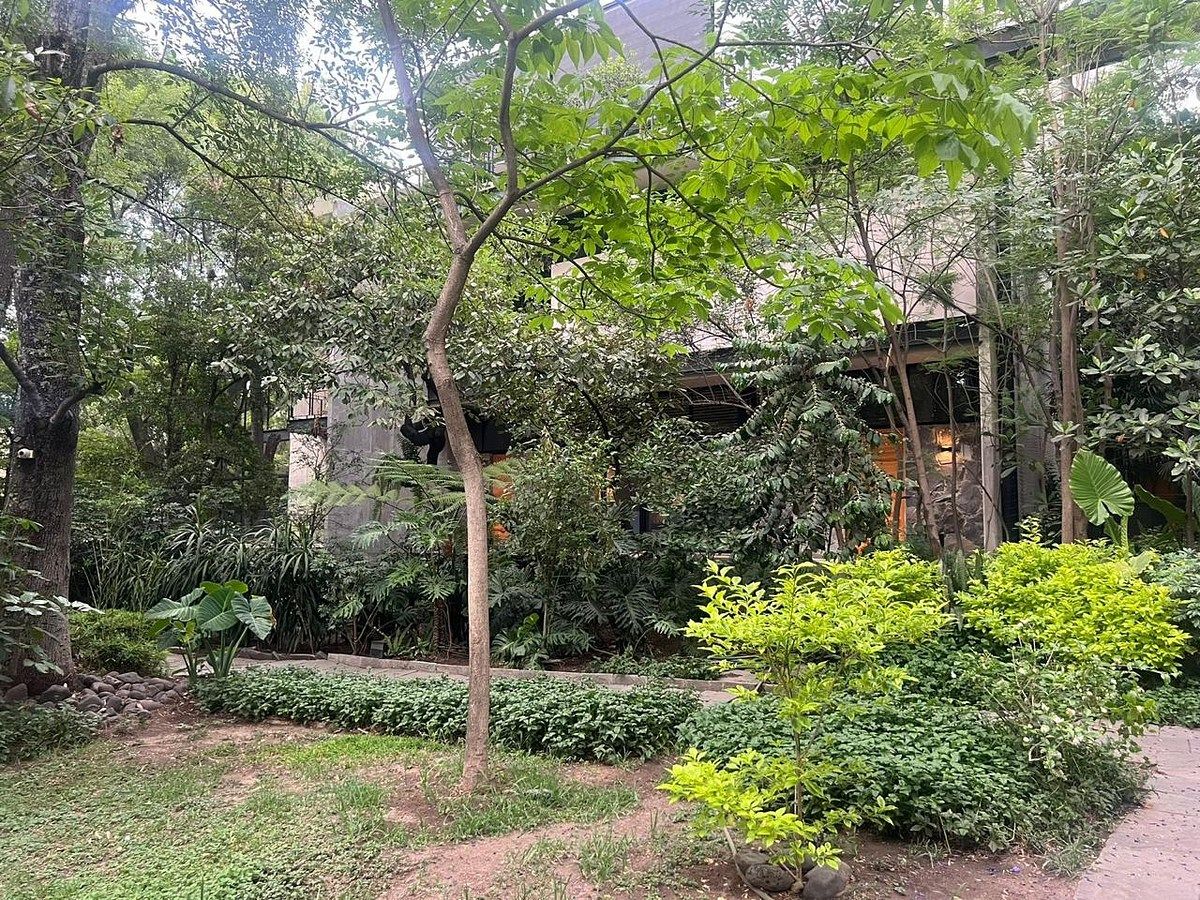 FACHADA CASA, foto 3 de 21