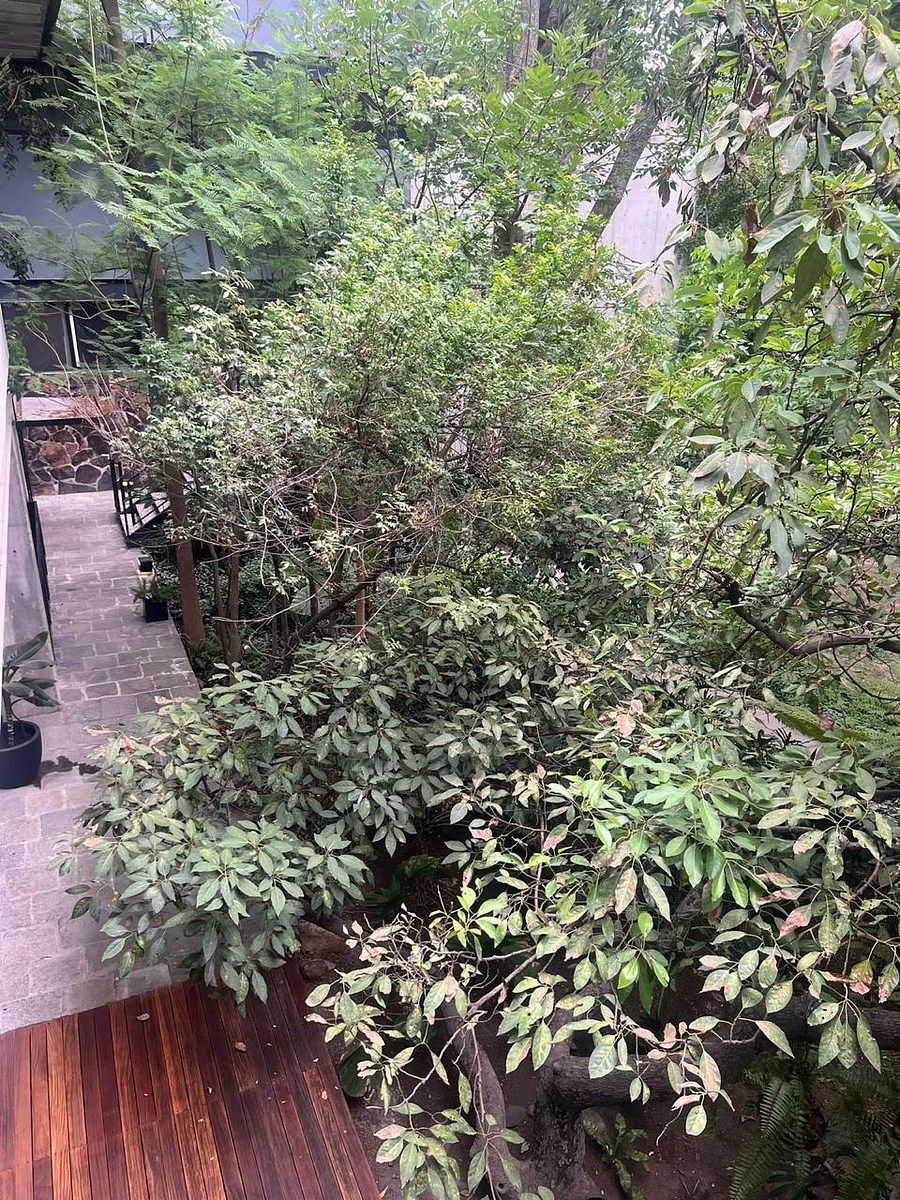 VISTA DESDE REC PRIN, foto 19 de 21