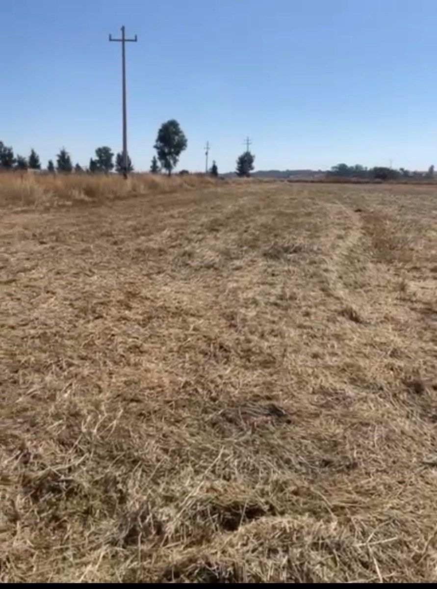 Terreno industrial en Valle de Guadalupe, Valle de Guadalupe, foto 3 de 4
