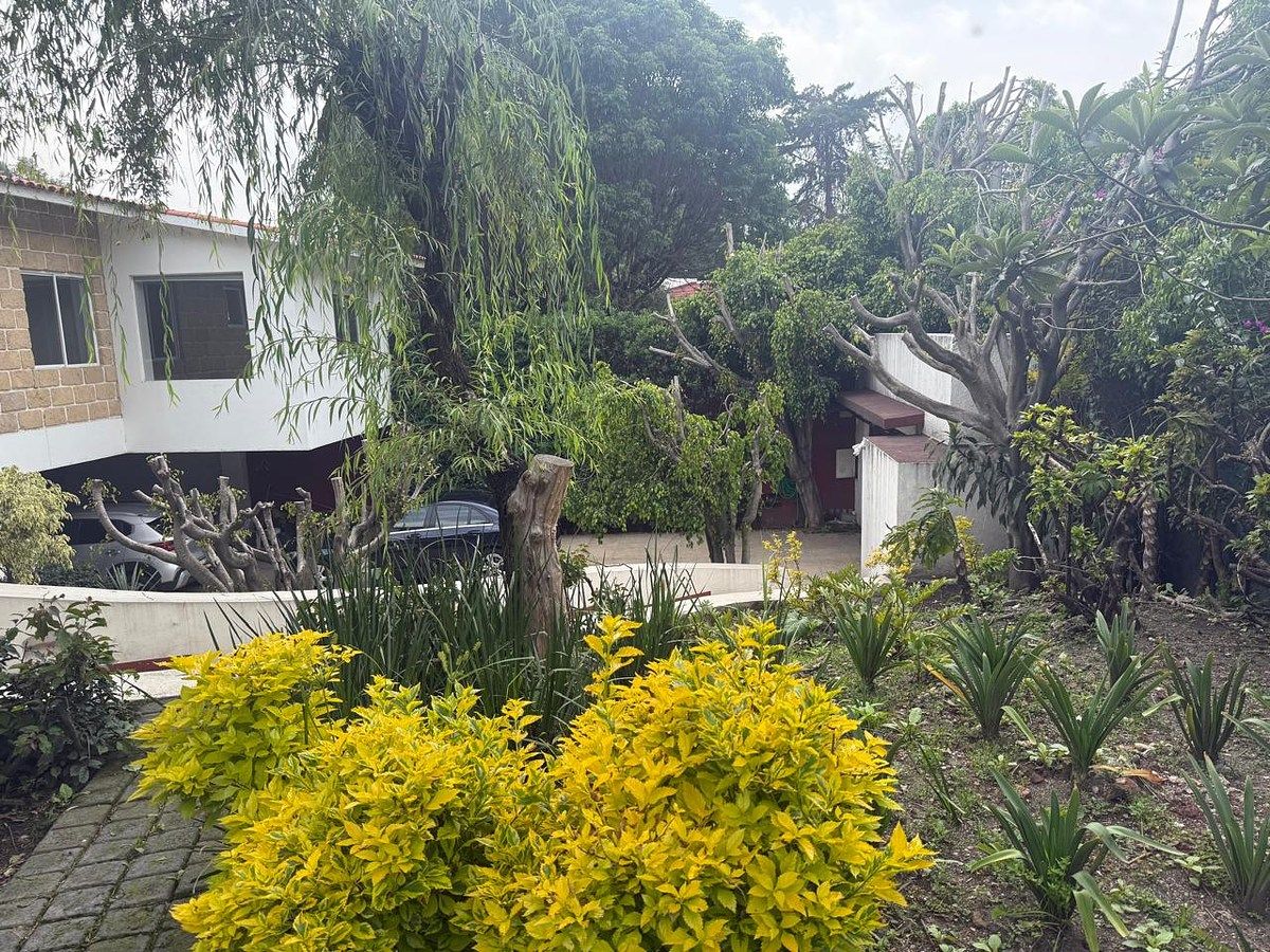 House in San Jerónimo Lídice, La Magdalena Contreras, photo 16 of 31