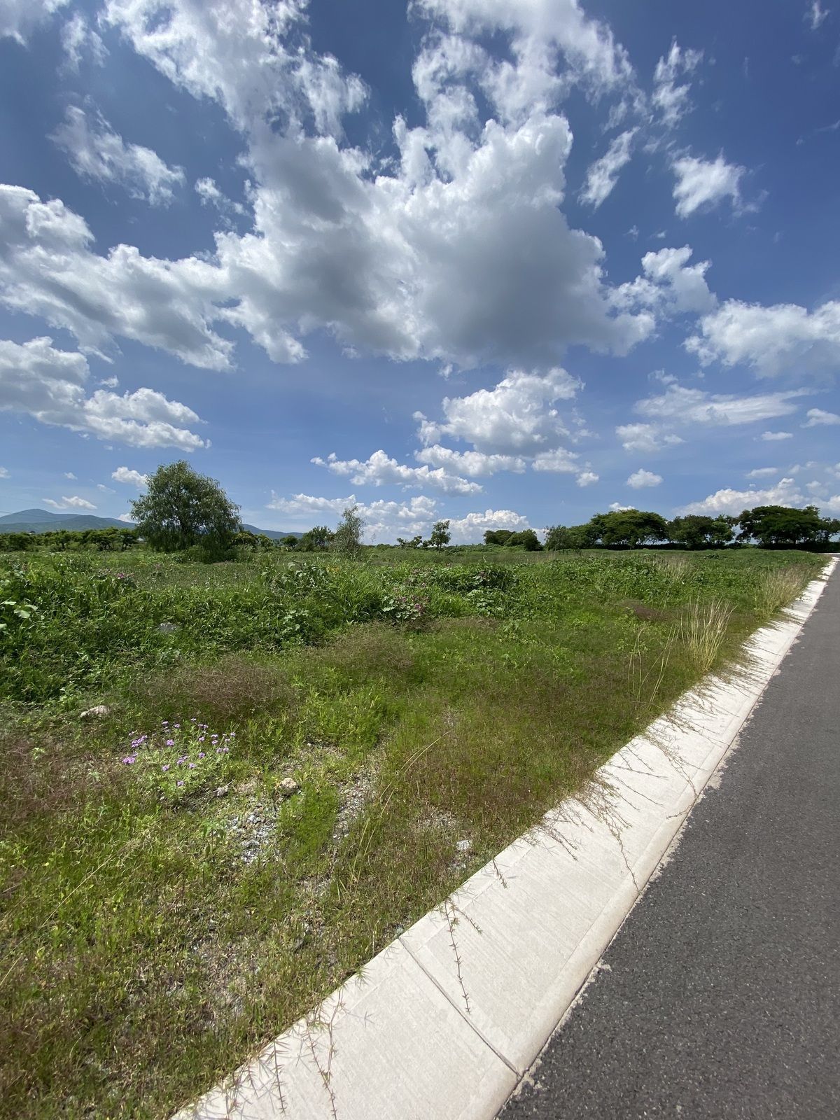 Lote em Grand Preserve, Querétaro, foto 6 de 10