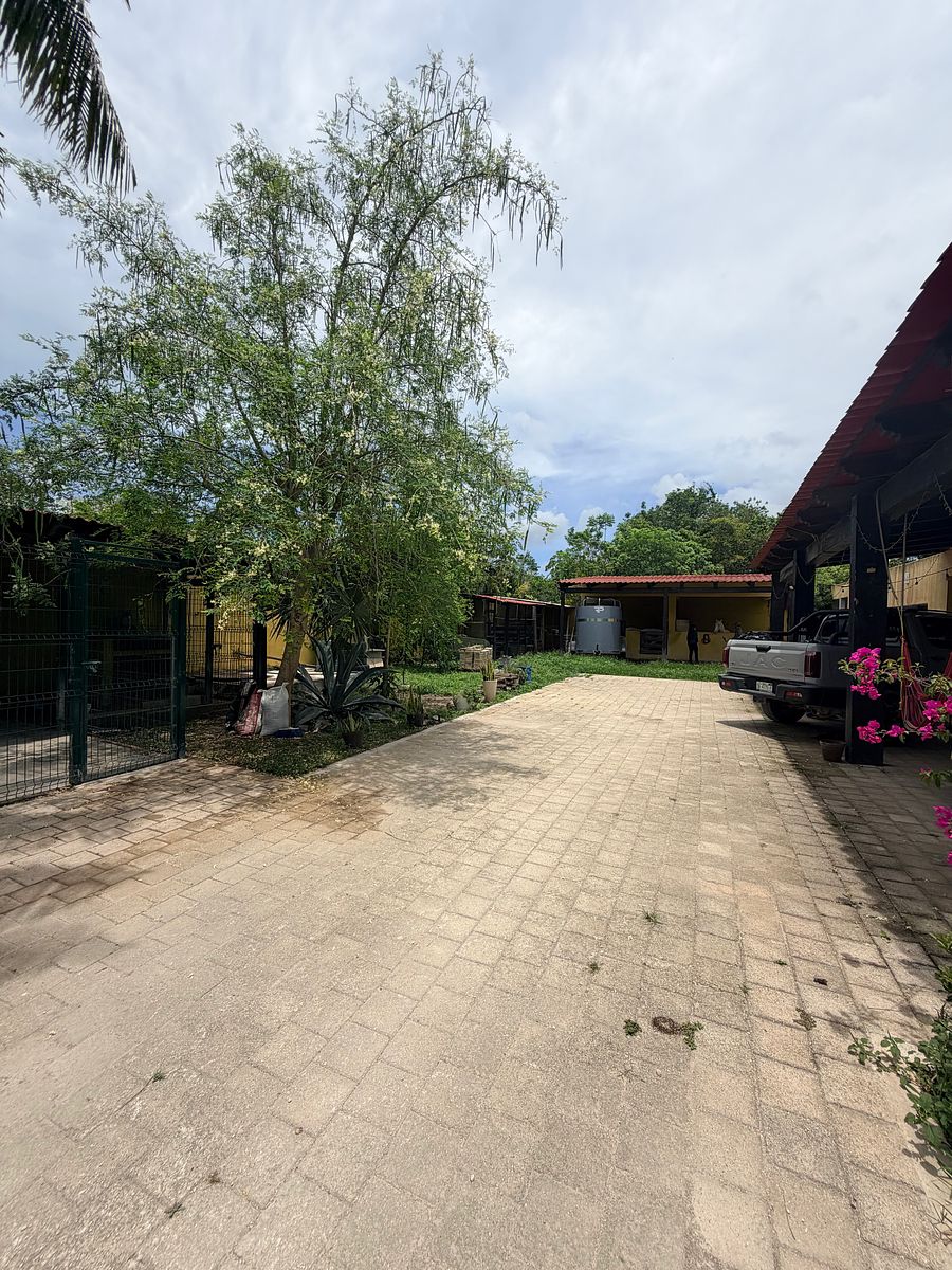 Country House in Alfredo V Bonfil, Benito Juárez, photo 7 of 16